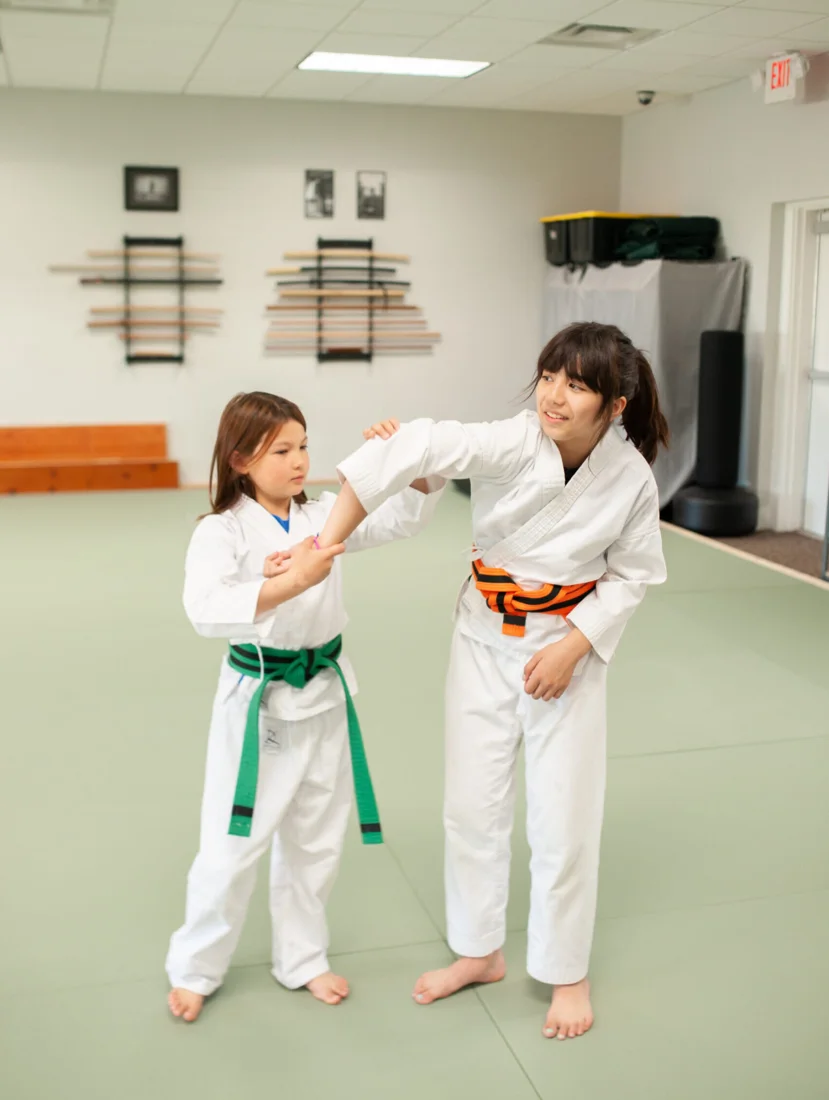 Aikijuku Dojo business photo