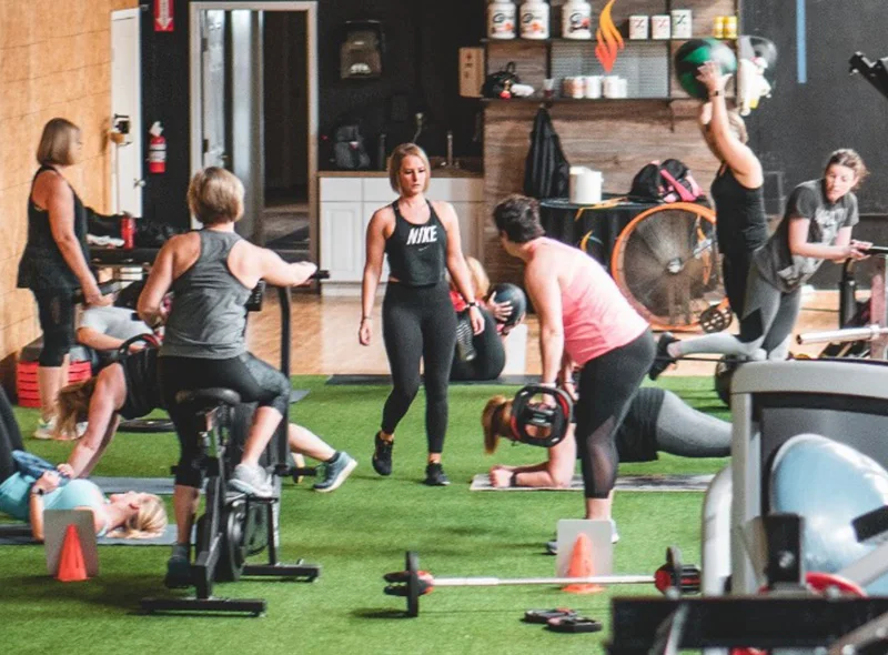 Primal FIT LAB business photo