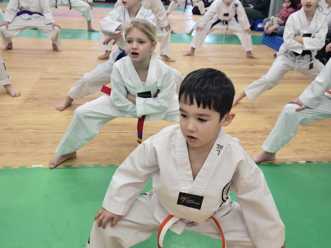 Yang’s Martial Arts Olathe business photo